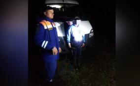Спасатели пришли на помощь двоим заблудившимся в лесах Ленобласти