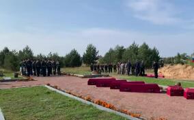 На Невском пятачке состоялось захоронение останков 54 бойцов Красной Армии
