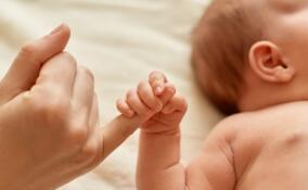 Свыше 200 малышей родилось в Ленобласти за неделю