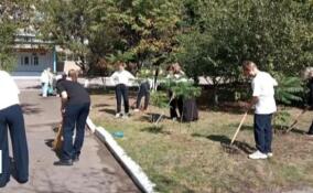 Проект «Зелёная школа» реализуется в Енакиево