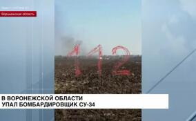В Воронежской области упал бомбардировщик Су-34