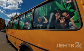 Штрафы на 1,5 млн рублей получили детские летние лагеря Ленобласти в 2023 году