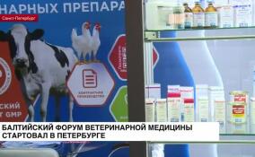 Балтийский форум ветеринарной медицины стартовал в Петербурге