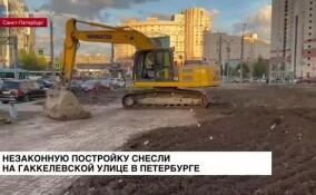 Незаконную постройку снесли на Гаккелевской улице в Петербурге