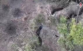 Пятеро российских бойцов отразили атаку штурмовиков ВСУ и заставили их бежать