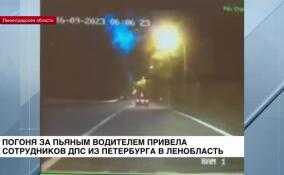 Погоня за пьяным водителем привела сотрудников ДПС из Петербурга в Ленобласть