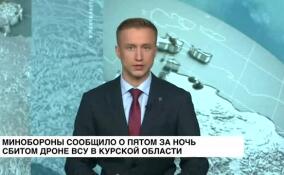 Минобороны сообщило о пятом за ночь сбитом дроне ВСУ в Курской области