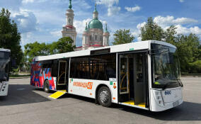 Комитет по транспорту обнародовал телефоны перевозчиков в Ленобласти