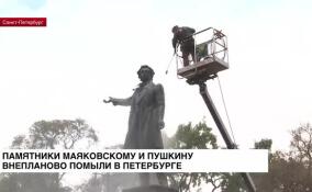 Памятники Маяковскому и Пушкину внепланово помыли в Петербурге