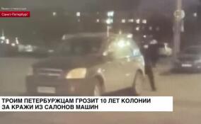 Троим петербуржцам грозит 10 лет колонии за кражи из салонов машин