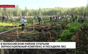 В Волосовском районе открыли зерносушильный комплекс и посадили лес