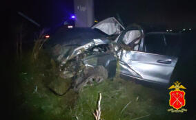 Mercedes-Benz влетел в столб в Ломоносовском районе, водитель погиб