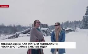#Неуехавшие: как жители Ленобласти реализуют самые смелые идеи