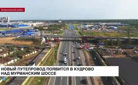 Новый путепровод появится в Кудрово над Мурманским шоссе