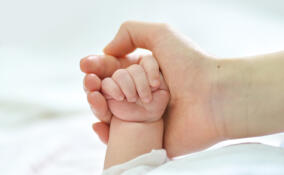 В августе в Ленобласти родился 1 141 малыш – рекорд 2023 года