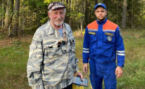 В Ленобласти добровольцы и спасатели помогли мужчине вернуться из леса домой