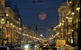 Огромную луну сняли в небе над Петербургом
