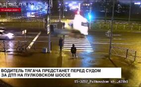 В Петербурге предстанет перед судом водитель грузовика, сбивший велосипедиста в зоне пешеходного перехода