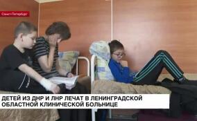 Детей из ДНР и ЛНР лечат в Ленинградской областной клинической больнице