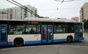 Петербургские троллейбусы стали показывать число безбилетников в салоне