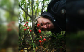 Будьте осторожнее: ядовитые ягоды ландыша подстерегают любителей лесных прогулок