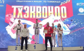 Спортсменка из Ленобласти завоевала «серебро» на чемпионат России по тхэквондо ВТФ