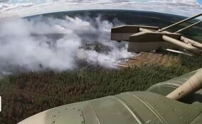 В Ленинградской области официально завершен пожароопасный сезон в лесах