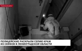 Полицейские раскрыли серию краж из сейфов Ленинградской области