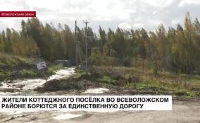 Жители коттеджного поселка во Всеволожском районе борются за единственную дорогу