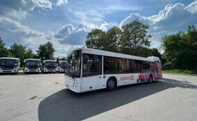 Ленинградская область закупит 450 новых автобусов