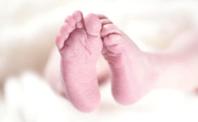 В Ленобласти зафиксирован показатель самой низкой младенческой смертности в стране