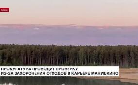 Прокуратура проводит проверку из-за захоронения отходов в карьере Манушкино