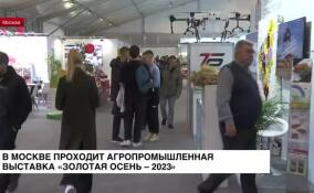 В Москве проходит 25-я агропромышленная выставка «Золотая осень-2023»