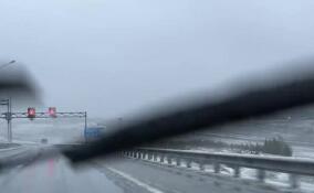 Зима совсем близко: в Приозерском районе прошел первый мокрый снег