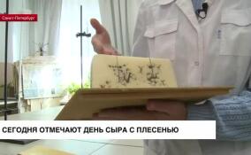 9 октября отмечают День сыра с плесенью