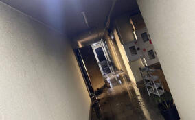 Пламя охватило квартиру в многоэтажном доме в Мурино