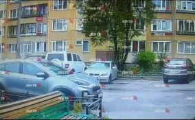 В Петербурге курсант МЧС спас женщину от грабителя с ножом – видео