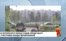 В Петербурге перед судом предстанут участники банды мошенников