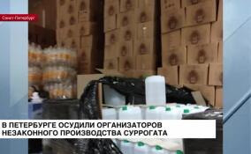 В Петербурге осудили организаторов незаконного производства суррогата