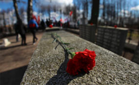 Захоронение расстрелянных советских граждан появится в Гатчине в ноябре