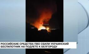 Российские средства ПВО сбили украинский беспилотник на подлете к Белгороду