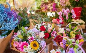 Видео: в Шушарах рецидивист вынес из «Ленты» два десятка букетов цветов на 18 тысяч