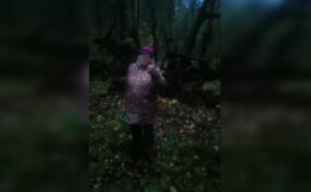 Субботним вечером в лесу у деревни Турышкино разыскивали заплутавшую женщину