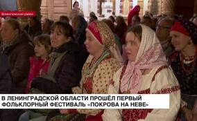 В Ленинградской области прошел первый фольклорный фестиваль «Покрова на Неве»