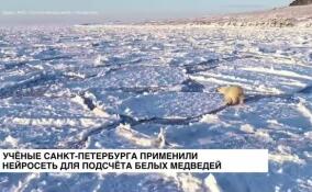 Ученые из Санкт-Петербурга применили нейросеть для подсчета белых медведей