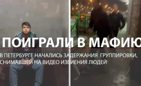 Нападения на прохожих в Петербурге: банда избивала людей на улицах
