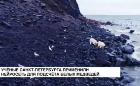 Ученые Санкт-Петербурга применили нейросеть для подсчета белых медведей
