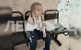 Девочке сломали руку на первом занятии по дзюдо в Кудрово