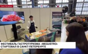Фестиваль гастротуризма Megustro стартовал в Санкт-Петербурге