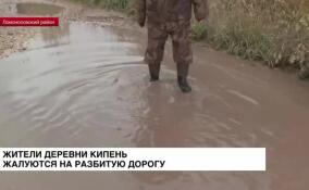 Жители деревни Кипень жалуются на разбитую дорогу